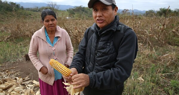 400-Year-Old Bolivian Newcomer Ships Seeds to Svalbard