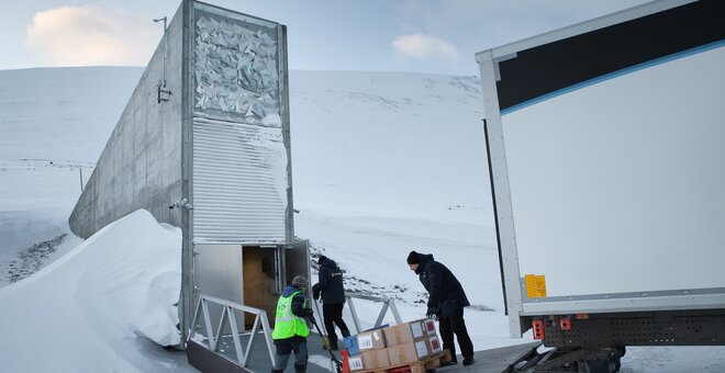 Svalbard Global Seed Vault Deposit - June 2025