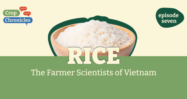 Crop Chronicles Podcast: Rice - The Farmer Scientists of Vietnam
